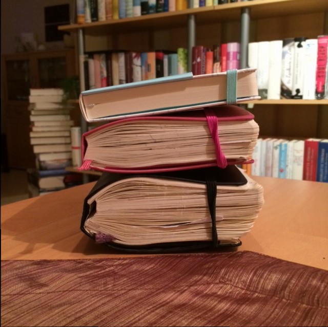 tagebücher201320142015