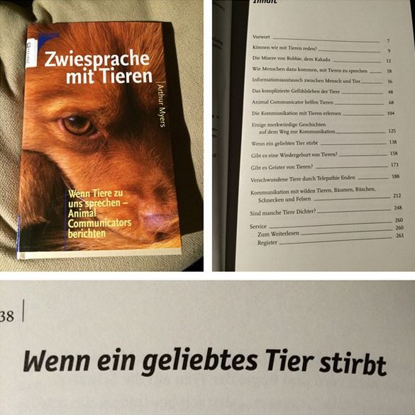 zwiesprache mit tieren