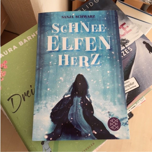 literaturschock buch