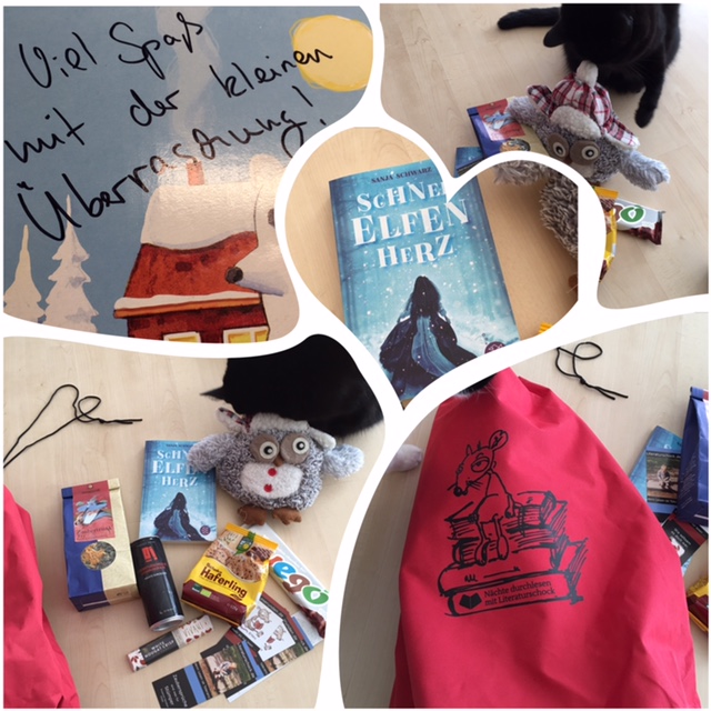 literaturschock ueberraschungspaket